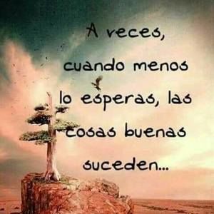 Meet your Posher, Eulalia